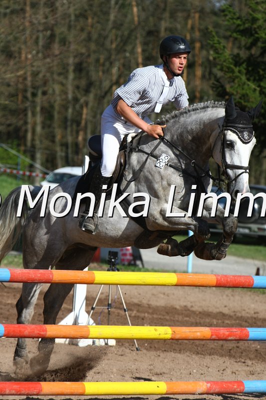 204M8783_Christels Boy_Springpferde_L.JPG